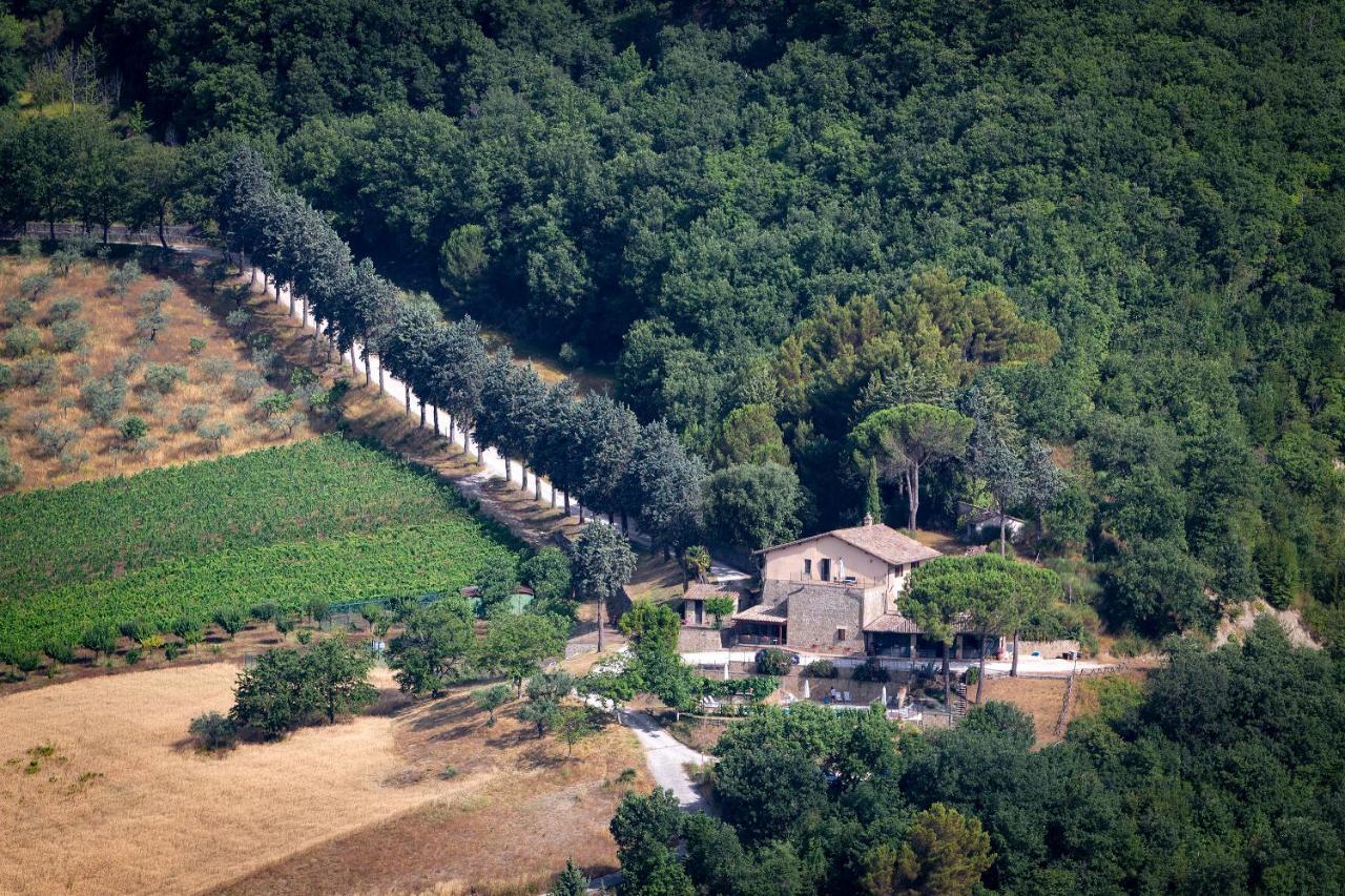 Agriturismo Colle Pu Pieve San Nicolo Exterior foto